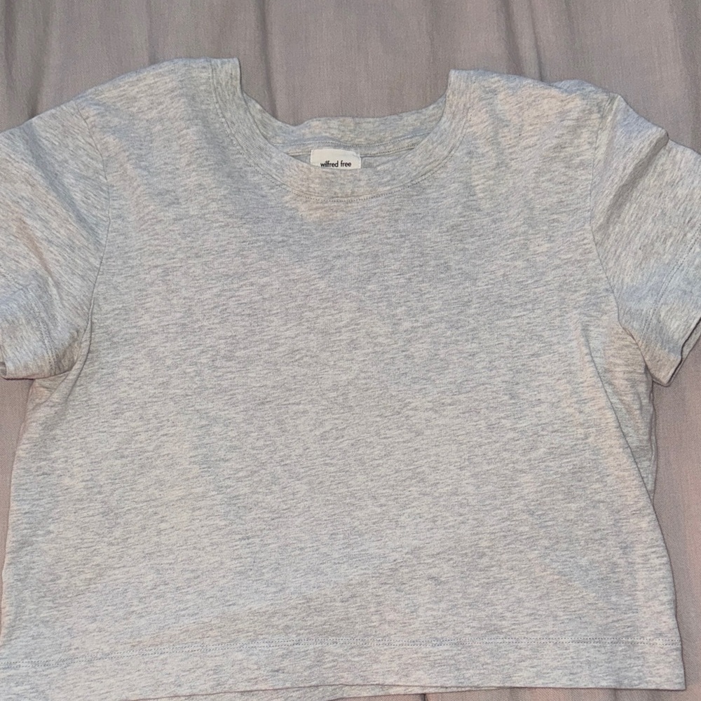 Aritzia Heather Gray Crop Top